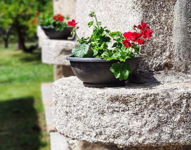 Holiday home Casa D'amado *